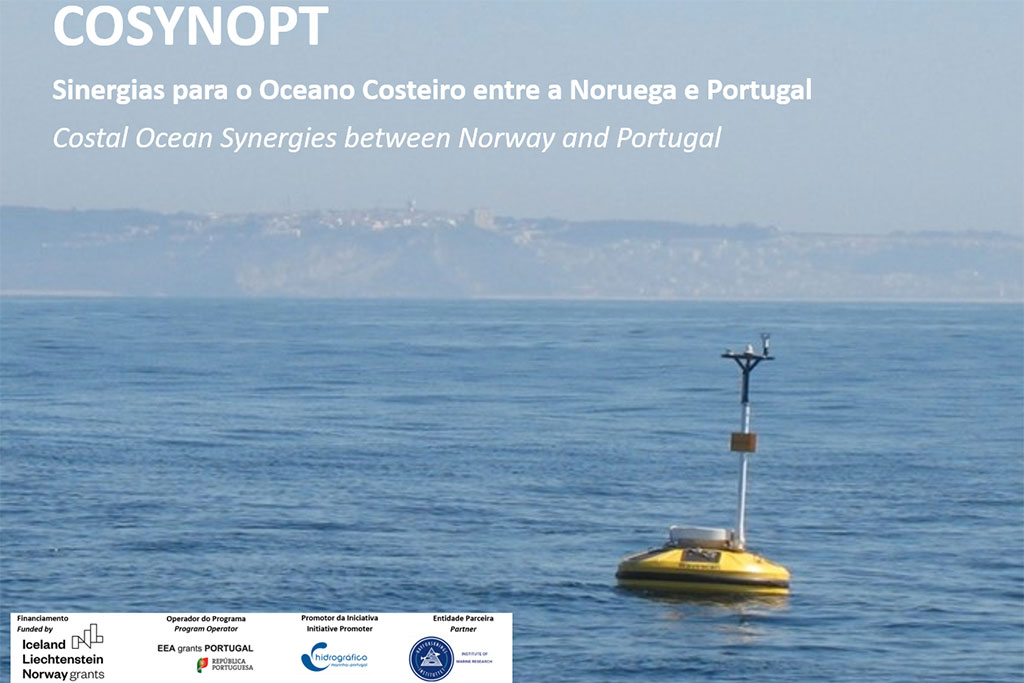 Project COSYNOPT explores synergies and the potential for future collaboration