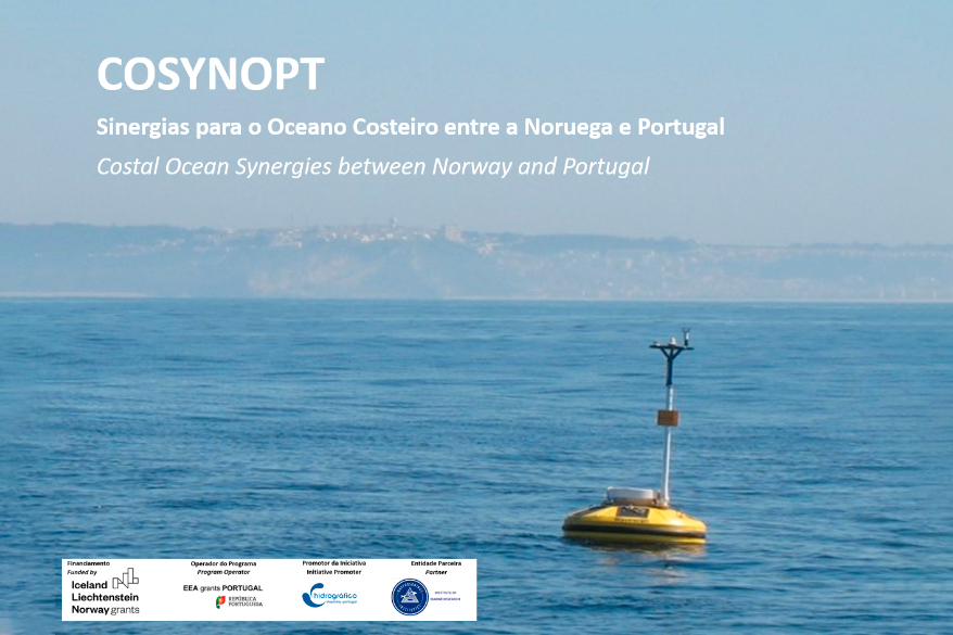Sinergias para o Oceano Costeiro entre a Noruega e Portugal (COSYNOPT)